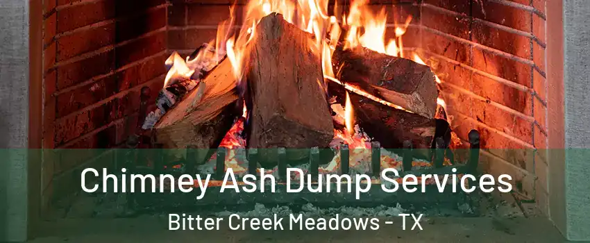 Chimney Ash Dump Services Bitter Creek Meadows - TX