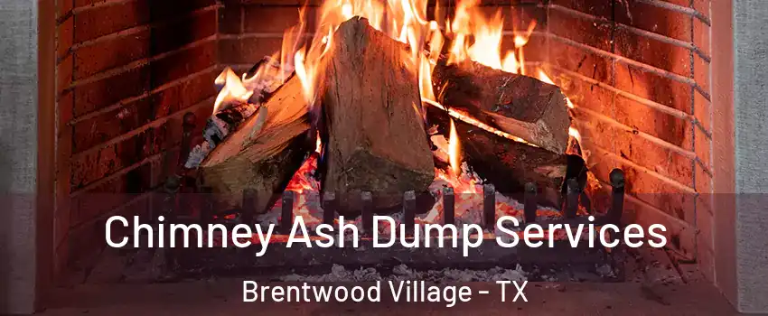 Chimney Ash Dump Services Brentwood Village - TX