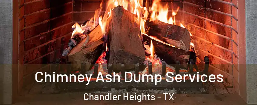 Chimney Ash Dump Services Chandler Heights - TX