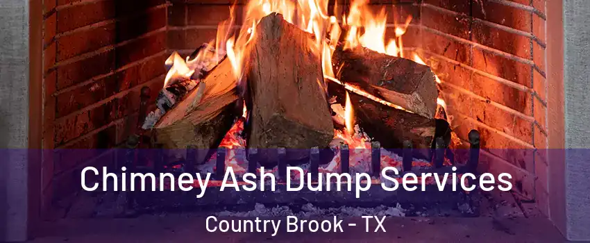 Chimney Ash Dump Services Country Brook - TX