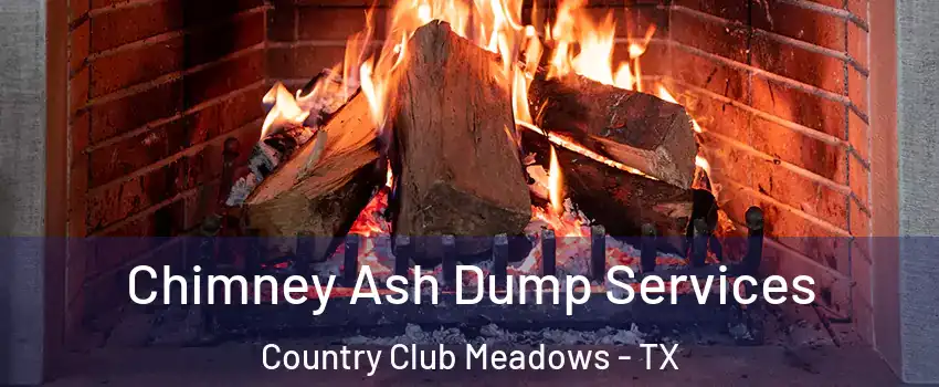 Chimney Ash Dump Services Country Club Meadows - TX