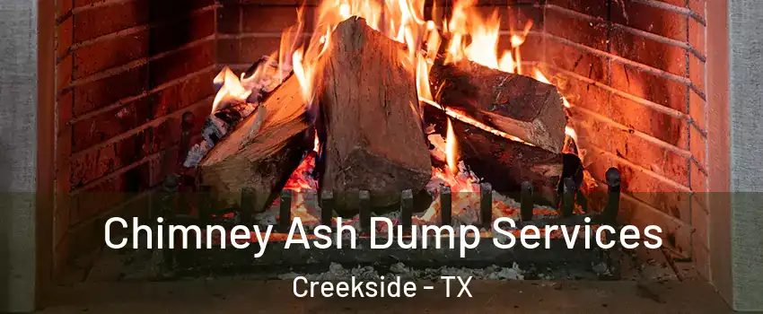 Chimney Ash Dump Services Creekside - TX