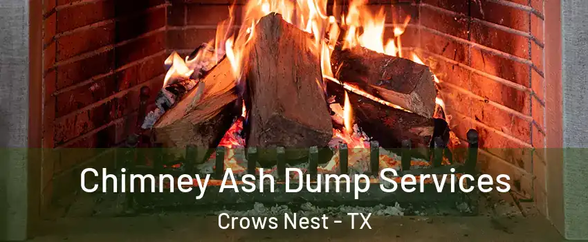 Chimney Ash Dump Services Crows Nest - TX