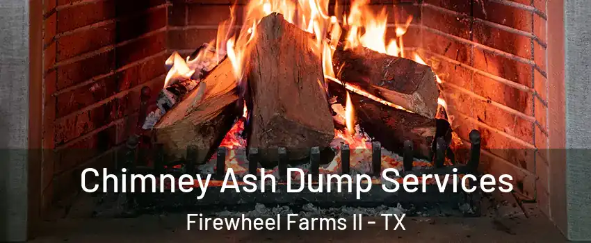 Chimney Ash Dump Services Firewheel Farms II - TX