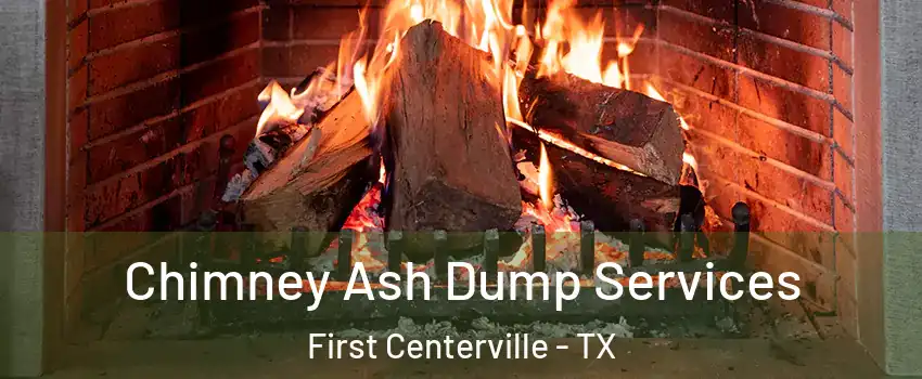 Chimney Ash Dump Services First Centerville - TX