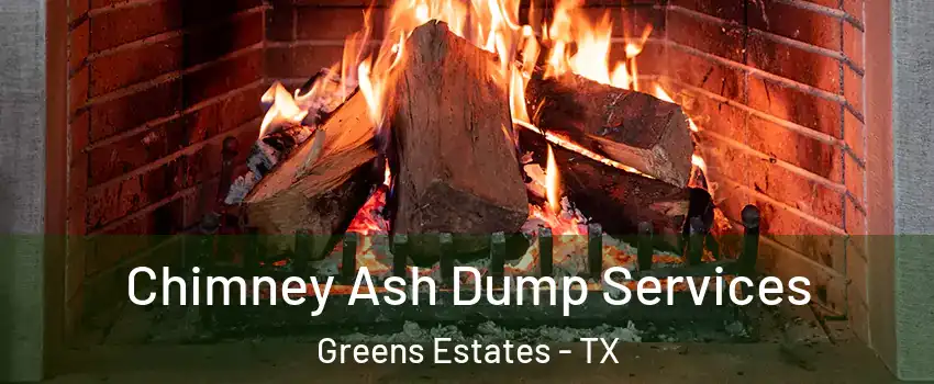 Chimney Ash Dump Services Greens Estates - TX