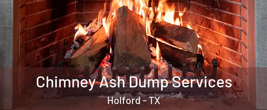 Chimney Ash Dump Services Holford - TX