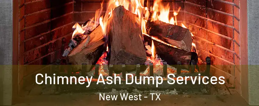 Chimney Ash Dump Services New West - TX