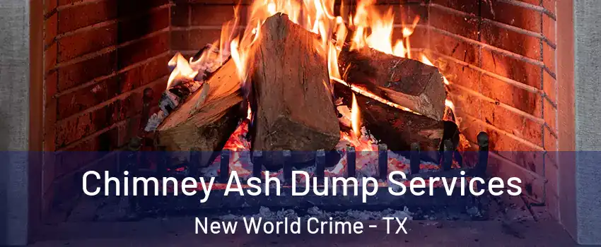 Chimney Ash Dump Services New World Crime - TX