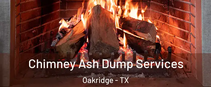 Chimney Ash Dump Services Oakridge - TX