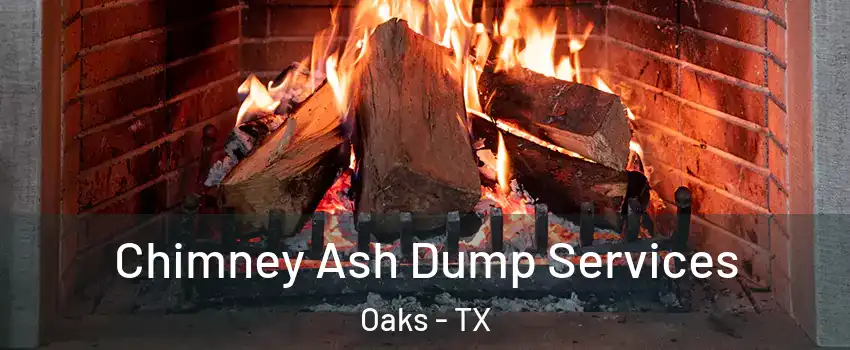 Chimney Ash Dump Services Oaks - TX