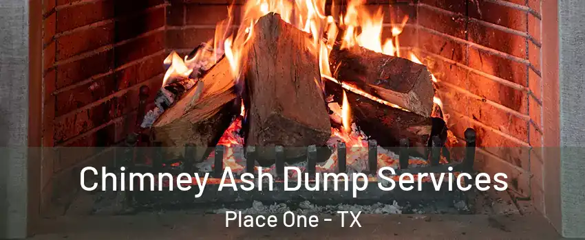 Chimney Ash Dump Services Place One - TX