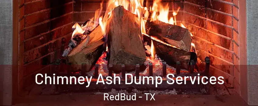 Chimney Ash Dump Services RedBud - TX