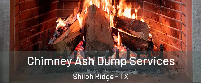 Chimney Ash Dump Services Shiloh Ridge - TX