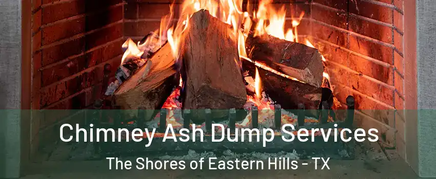 Chimney Ash Dump Services The Shores of Eastern Hills - TX