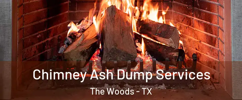 Chimney Ash Dump Services The Woods - TX