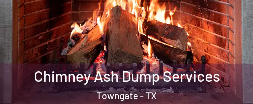 Chimney Ash Dump Services Towngate - TX