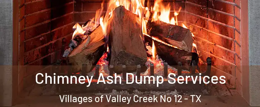 Chimney Ash Dump Services Villages of Valley Creek No 12 - TX