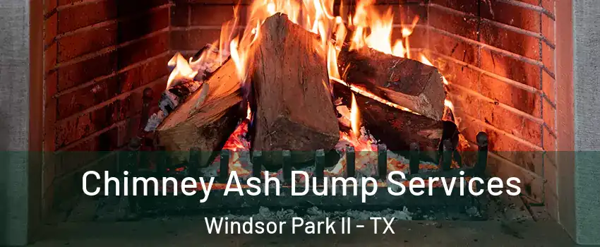 Chimney Ash Dump Services Windsor Park II - TX