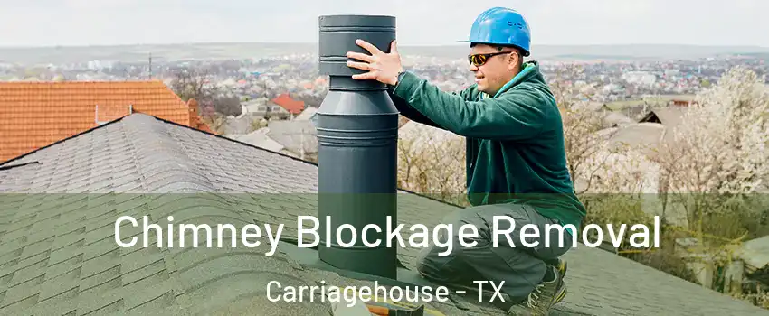 Chimney Blockage Removal Carriagehouse - TX