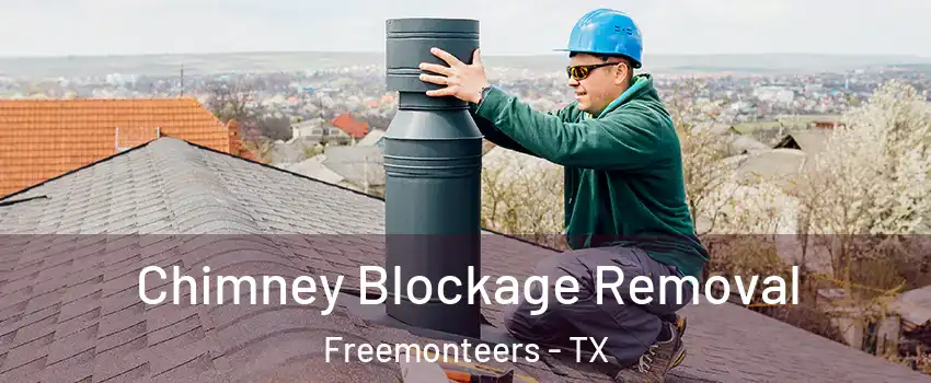 Chimney Blockage Removal Freemonteers - TX