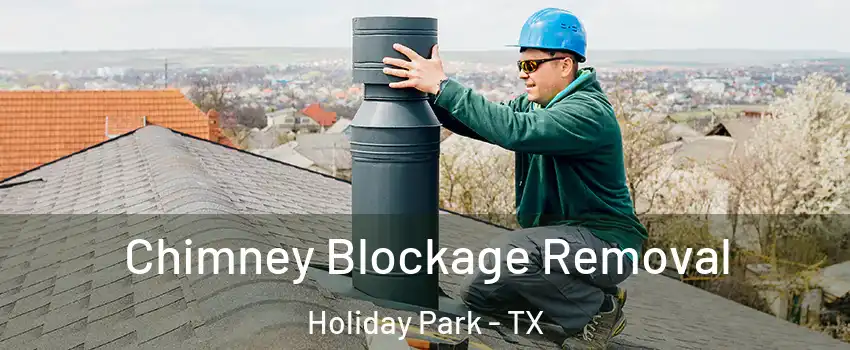 Chimney Blockage Removal Holiday Park - TX