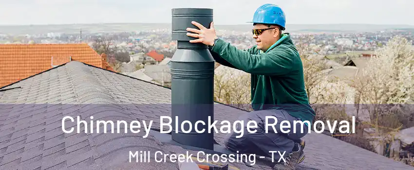 Chimney Blockage Removal Mill Creek Crossing - TX