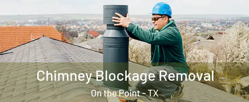 Chimney Blockage Removal On the Point - TX