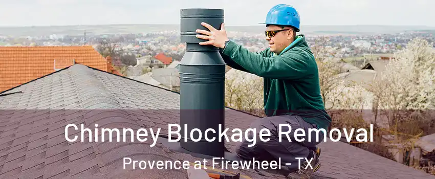 Chimney Blockage Removal Provence at Firewheel - TX