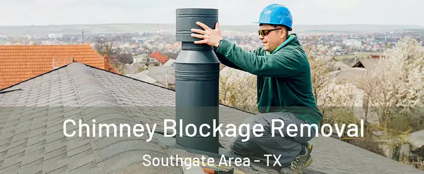 Chimney Blockage Removal Southgate Area - TX