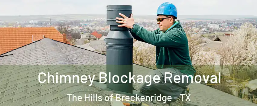 Chimney Blockage Removal The Hills of Breckenridge - TX