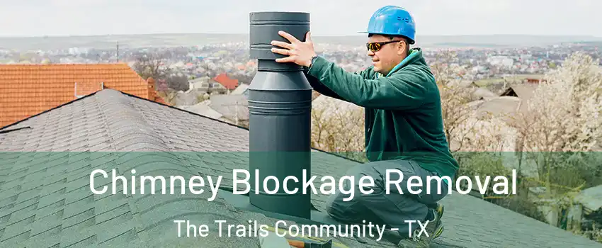 Chimney Blockage Removal The Trails Community - TX