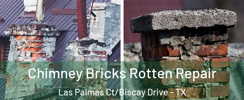 Chimney Bricks Rotten Repair Las Palmas Ct/Biscay Drive - TX