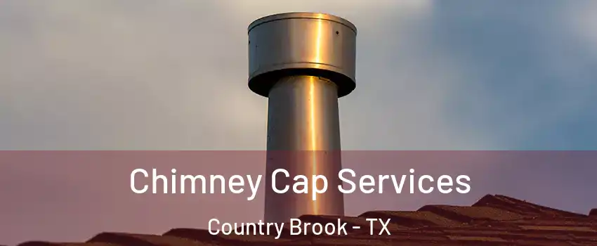 Chimney Cap Services Country Brook - TX