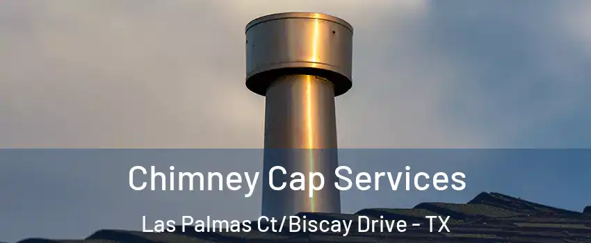 Chimney Cap Services Las Palmas Ct/Biscay Drive - TX