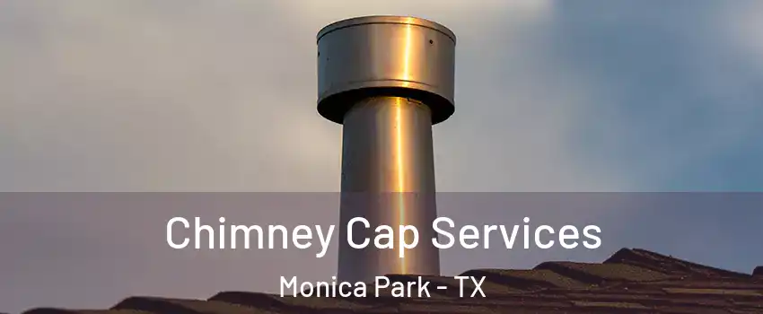 Chimney Cap Services Monica Park - TX