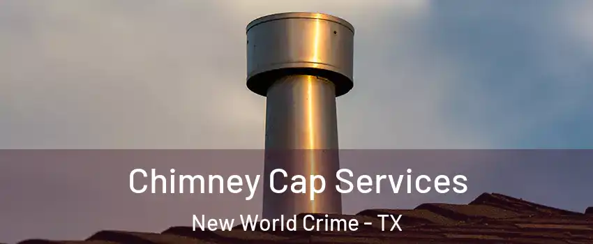 Chimney Cap Services New World Crime - TX