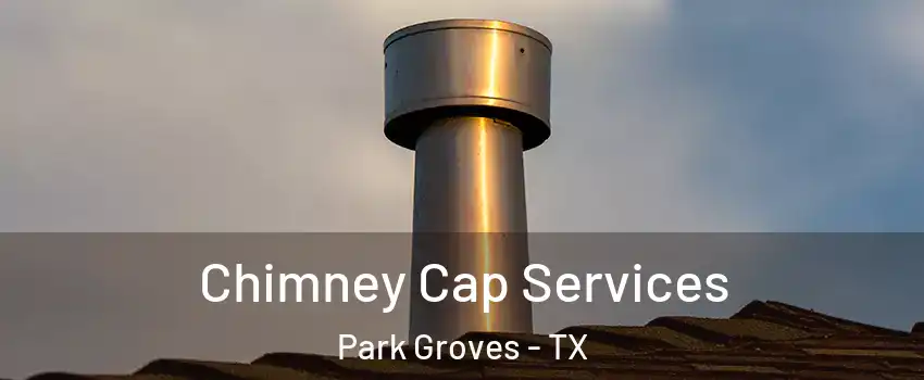 Chimney Cap Services Park Groves - TX