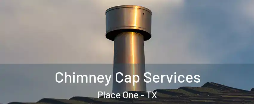 Chimney Cap Services Place One - TX