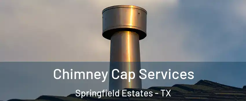 Chimney Cap Services Springfield Estates - TX