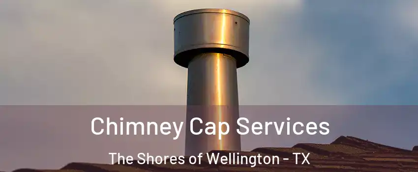 Chimney Cap Services The Shores of Wellington - TX