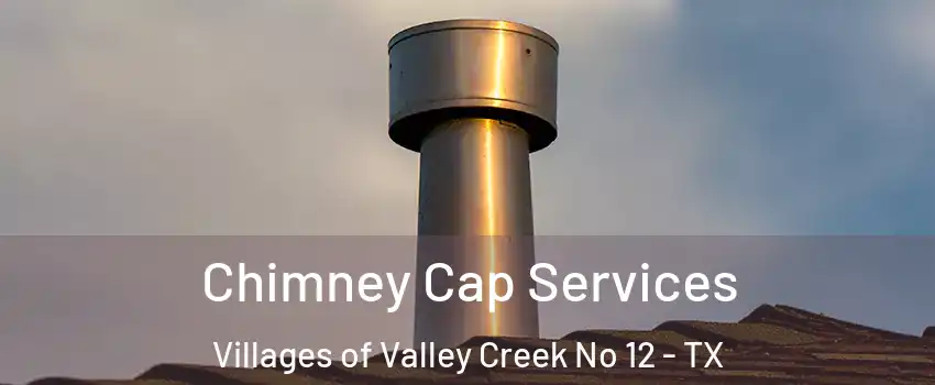 Chimney Cap Services Villages of Valley Creek No 12 - TX