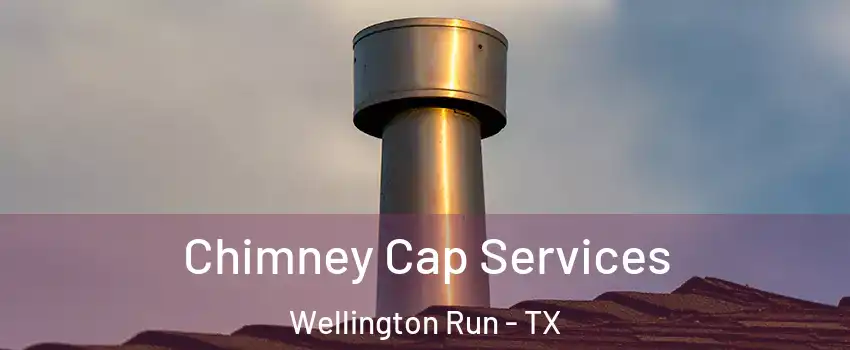 Chimney Cap Services Wellington Run - TX