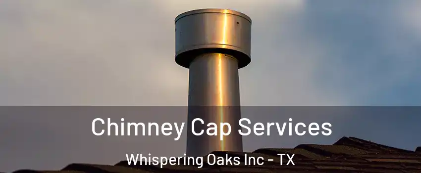 Chimney Cap Services Whispering Oaks Inc - TX