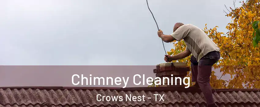 Chimney Cleaning Crows Nest - TX