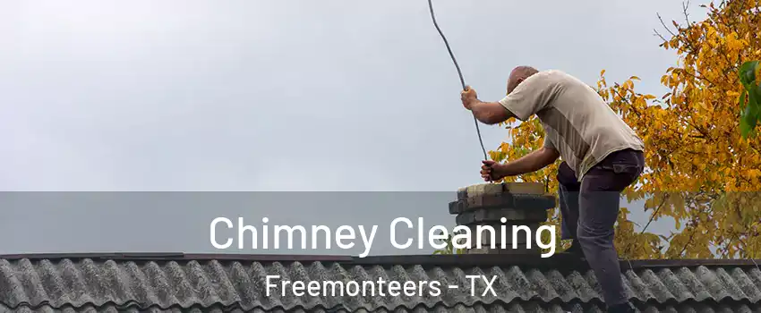 Chimney Cleaning Freemonteers - TX