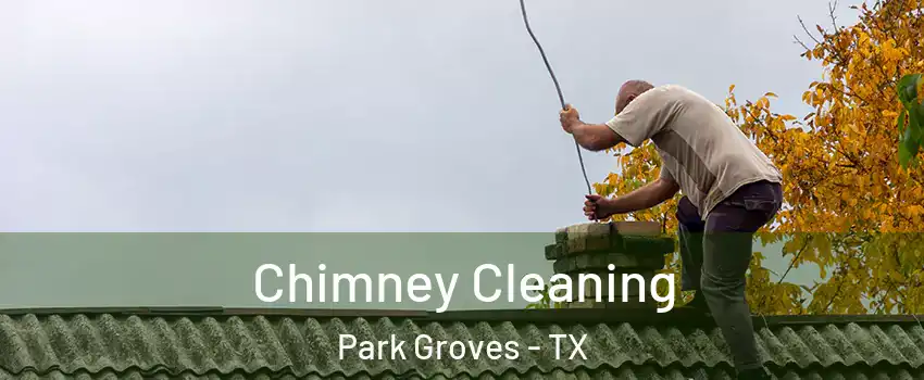 Chimney Cleaning Park Groves - TX