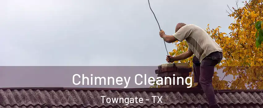 Chimney Cleaning Towngate - TX