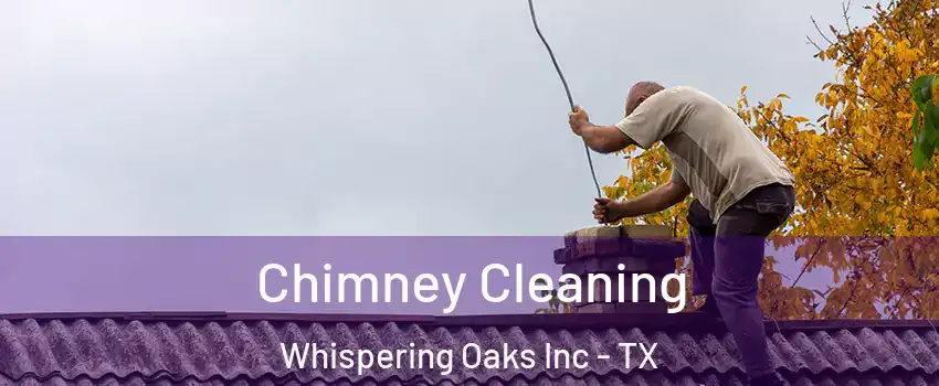 Chimney Cleaning Whispering Oaks Inc - TX