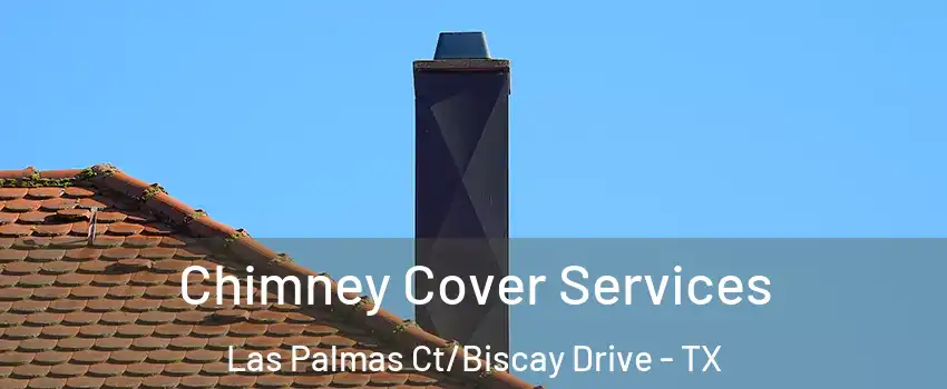 Chimney Cover Services Las Palmas Ct/Biscay Drive - TX